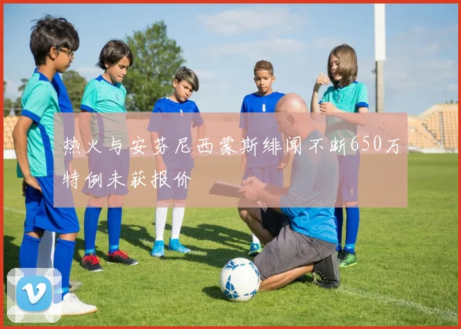 热火与安芬尼西蒙斯绯闻不断650万特例未获报价